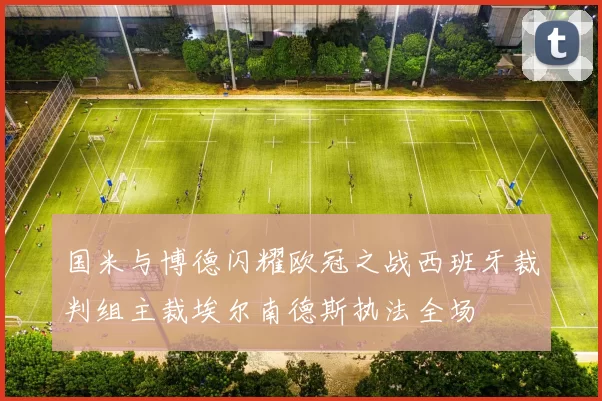 国米与博德闪耀欧冠之战西班牙裁判组主裁埃尔南德斯执法全场